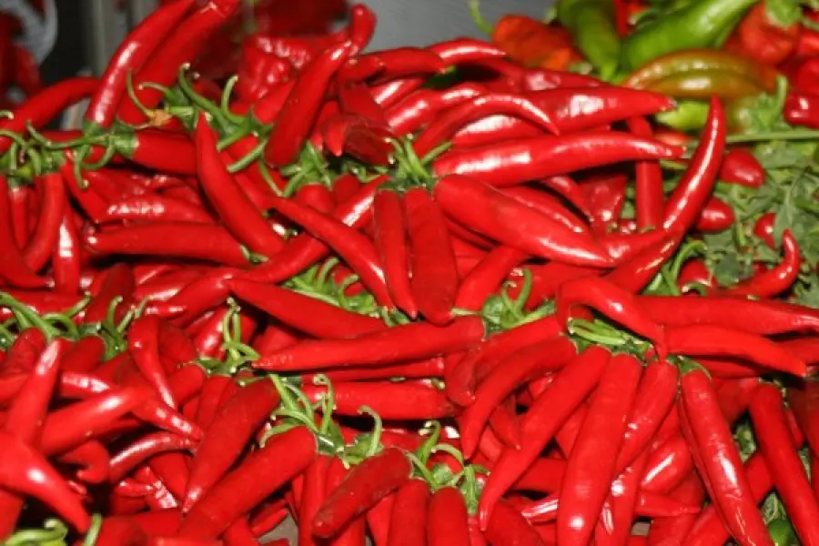 Il peperoncino arriva fino nello spazio: ecco la novità dalla Nasa